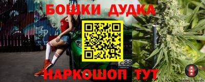 стаф Будённовск