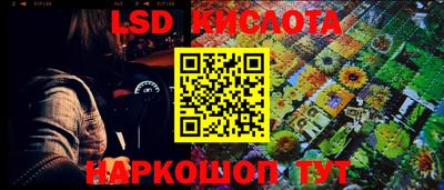 стаф Будённовск