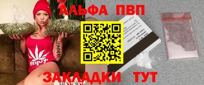 стаф Будённовск